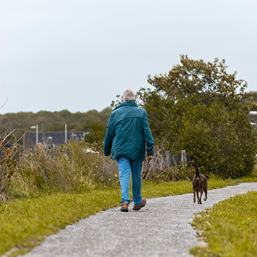 How Long Is a Dog's Memory