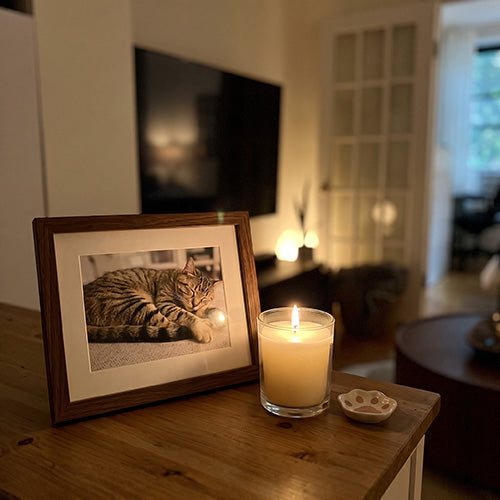 How to Cremate a Pet at Home: A Safe, Step-by-Step Guide