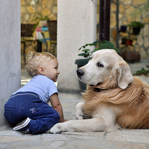 How to Prepare a Child for Pet Euthanasia: A Parent's Guide