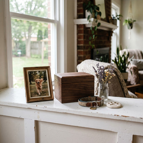 What to Do With Pet Ashes: 10 Meaningful Ideas