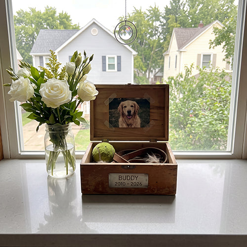 What to Get Someone Whose Pet Died: 15 Thoughtful Sympathy Gifts
