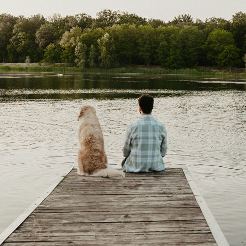 Why Is My Dog Following Me Everywhere? 5 Reasons Behind "Velcro Dog" Behavior