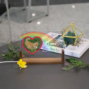 Pet LED Acrylic Night Light Plaque