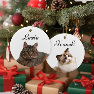 Pet Memorial Ornament Gift