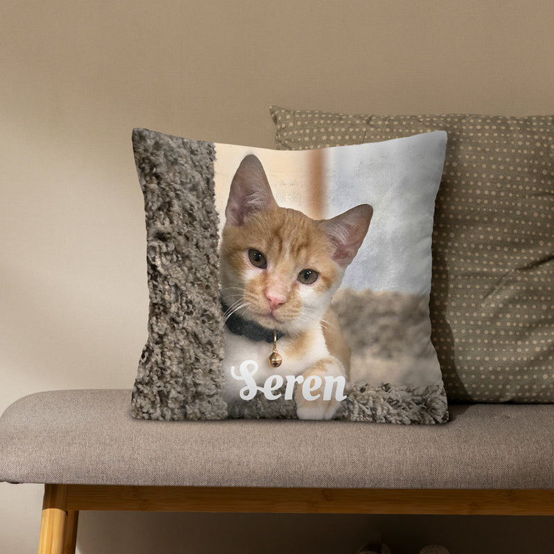 Pet Memorial Pillow with Photo