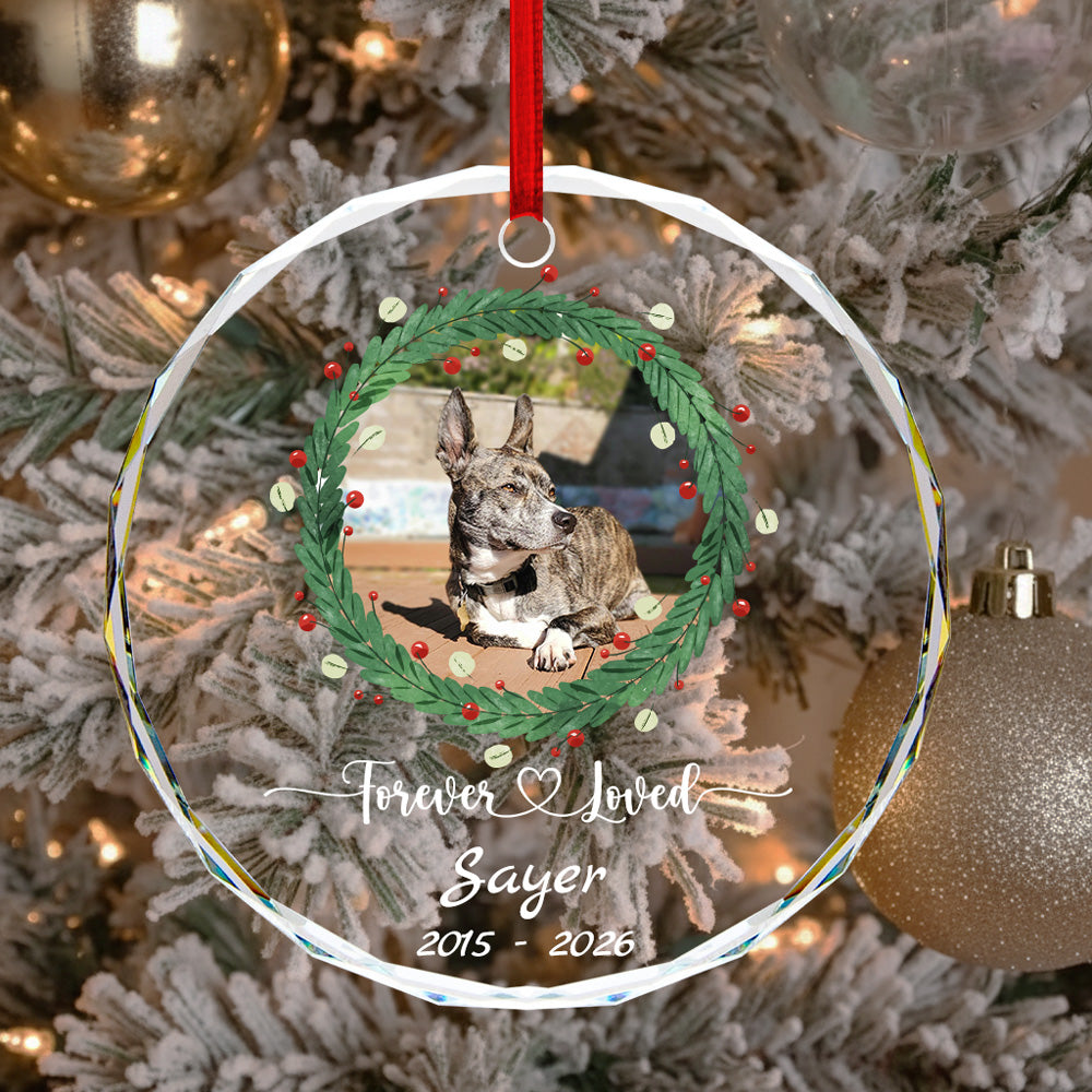 Pet Memorial Round Glass Ornament - Heartfelt Sympathy Gift