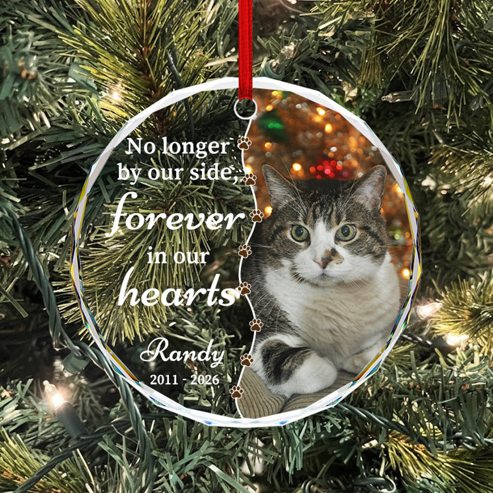 Custom Pet Memorial Glass Ornament - Personalized Photo Keepsake