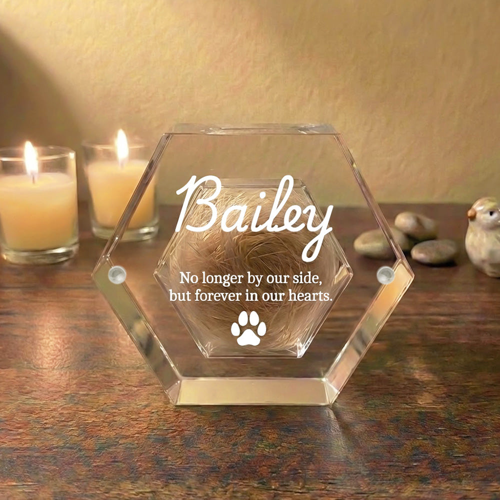 Custom Pet Hair Storage Box