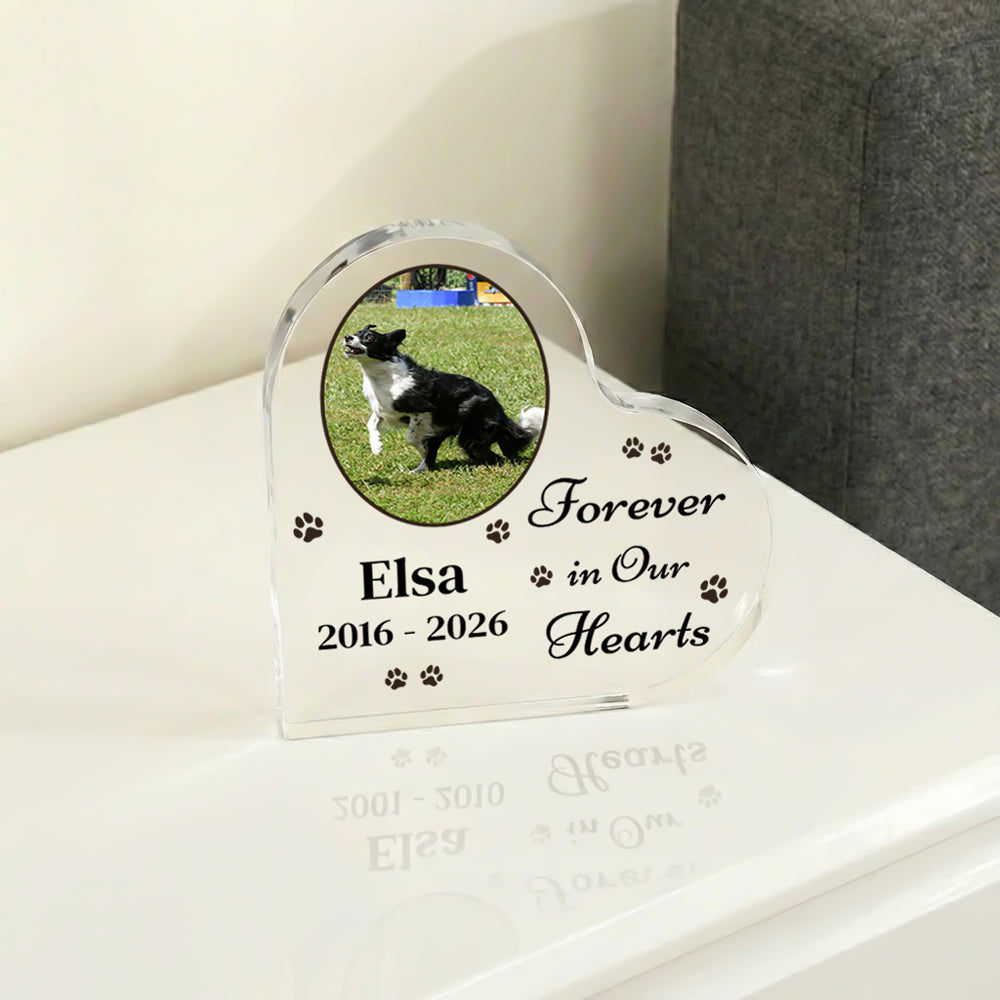 Custom Pet Portrait Heart Acrylic Block
