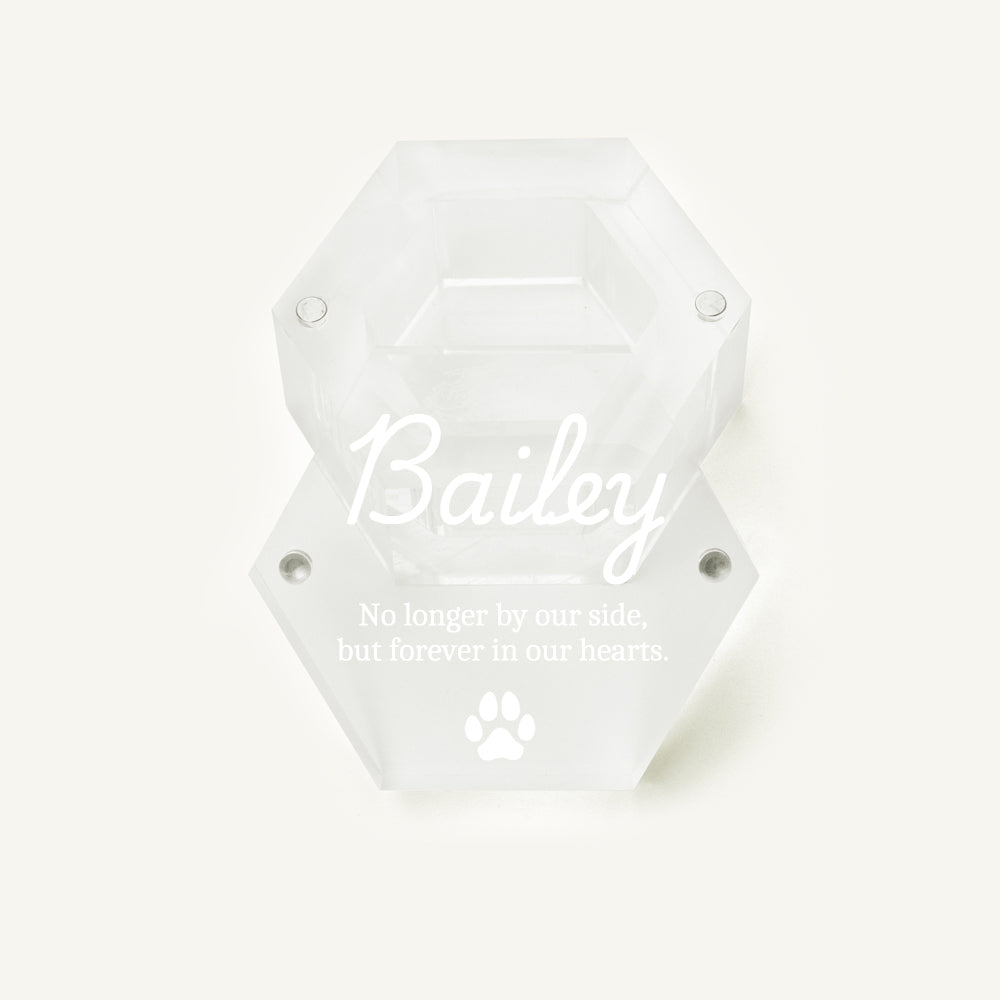 Custom Pet Hair Storage Box