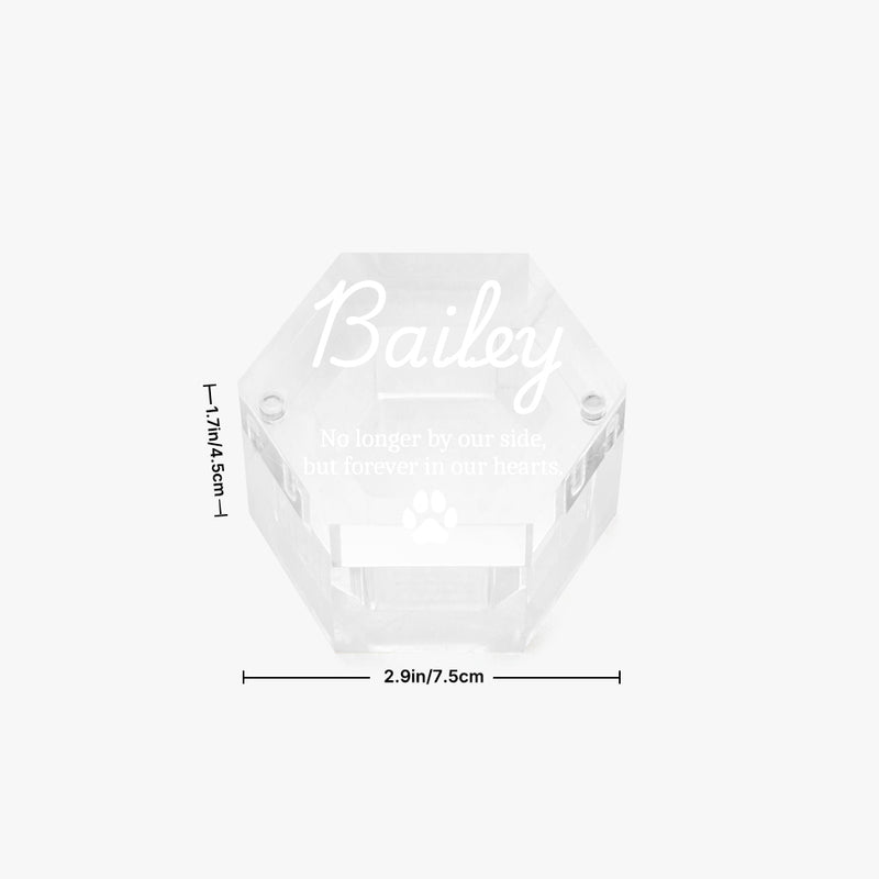 Custom Pet Hair Storage Box