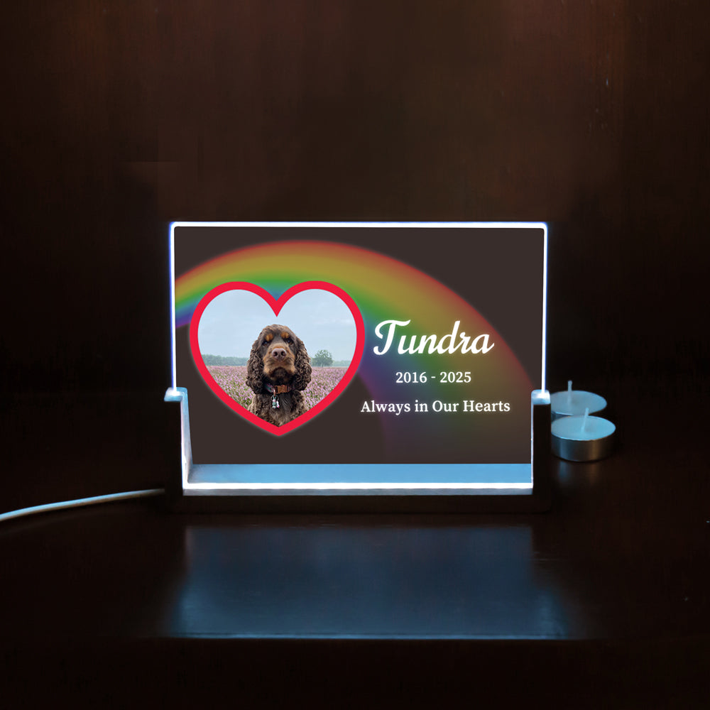 Pet LED Acrylic Night Light Plaque