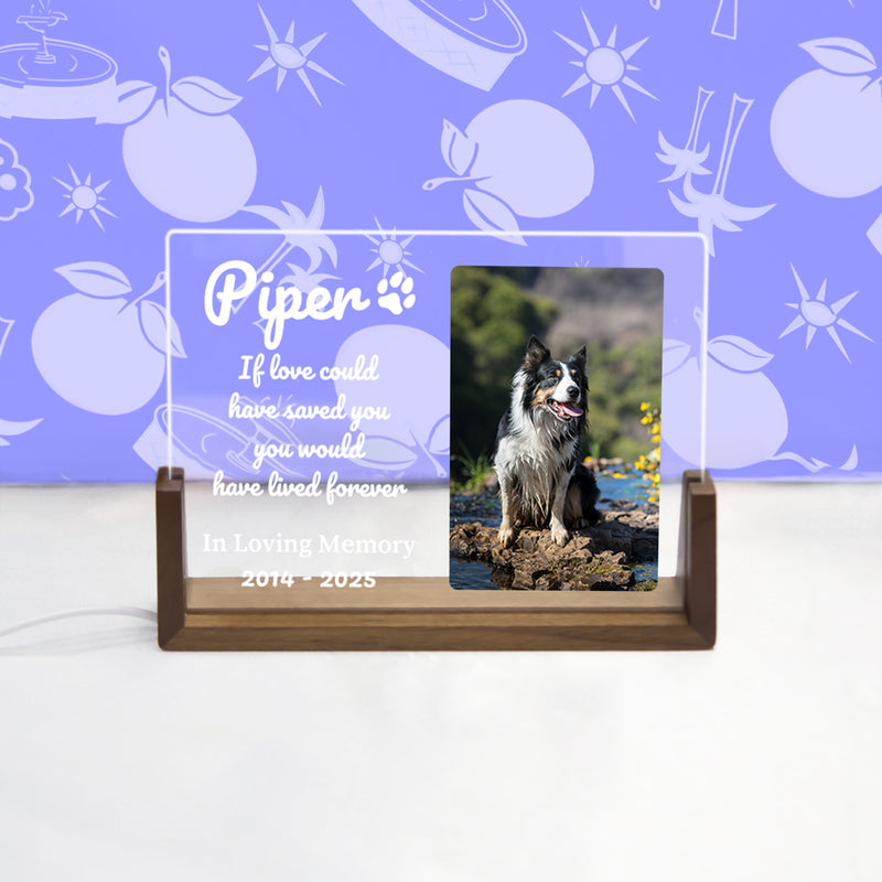 Pet LED Acrylic Plaque with Photo