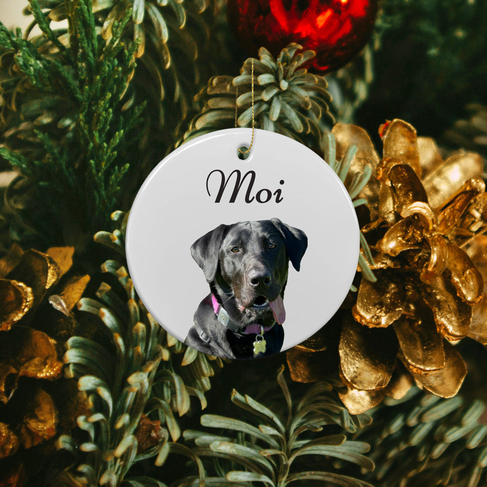 Pet Memorial Ornament Gift