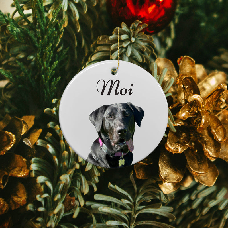 Pet Memorial Ornament Gift