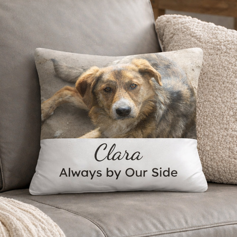 Pet Remembrance Pillow with Photo