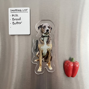 Pet Shaped Photo Magnet with Name