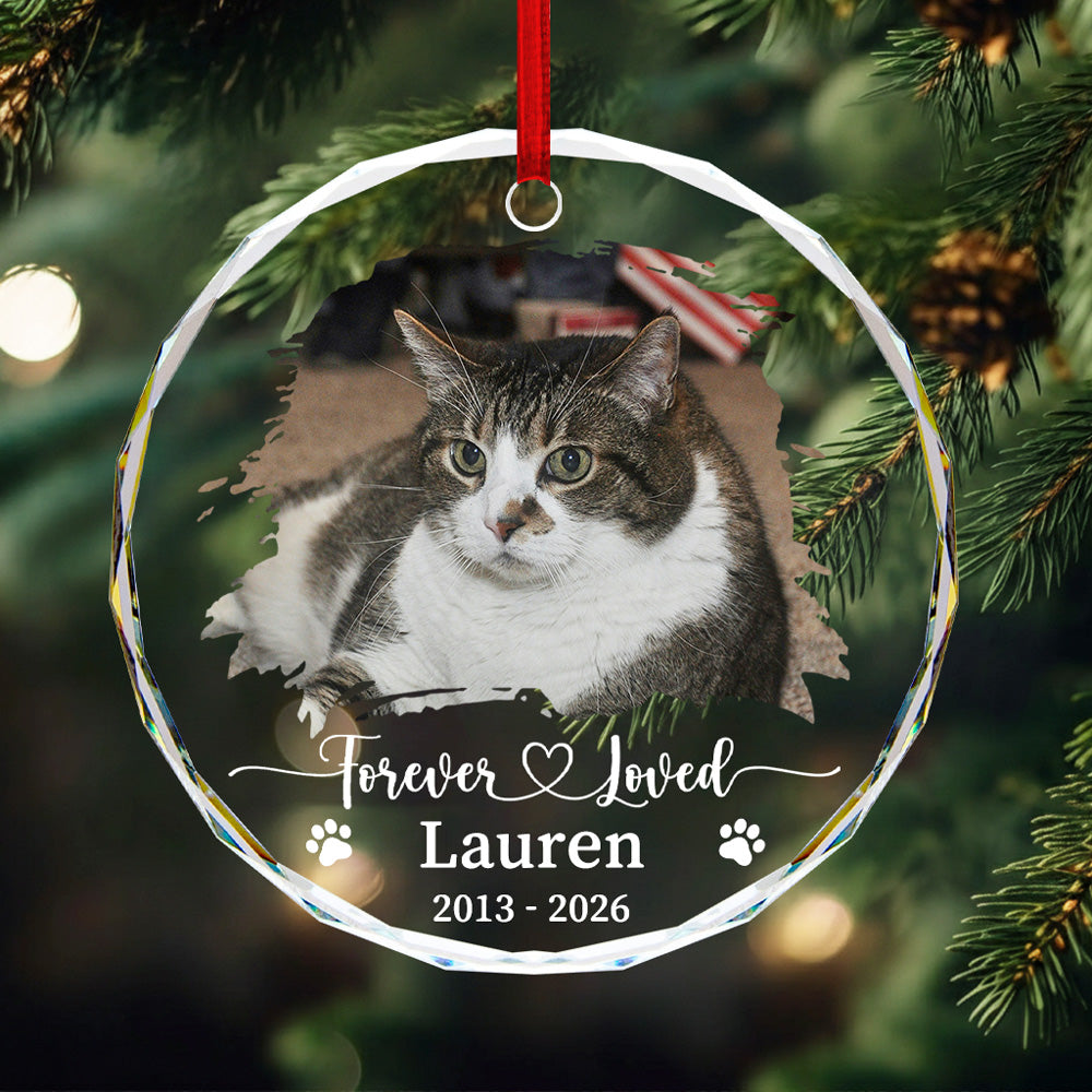 Forever Loved Personalized Pet Memorial Glass Ornament with Photo