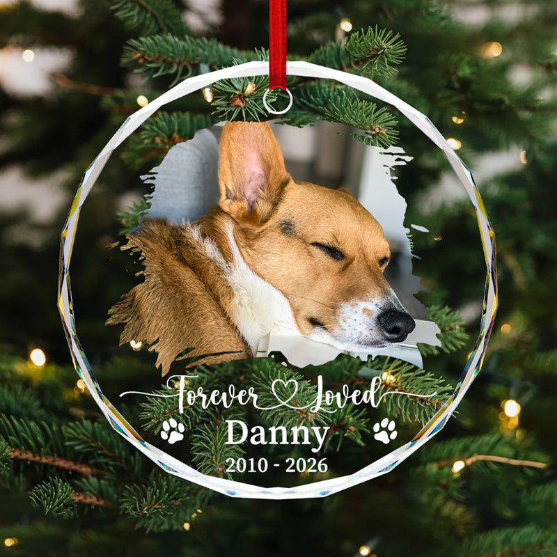 Forever Loved Personalized Pet Memorial Glass Ornament with Photo