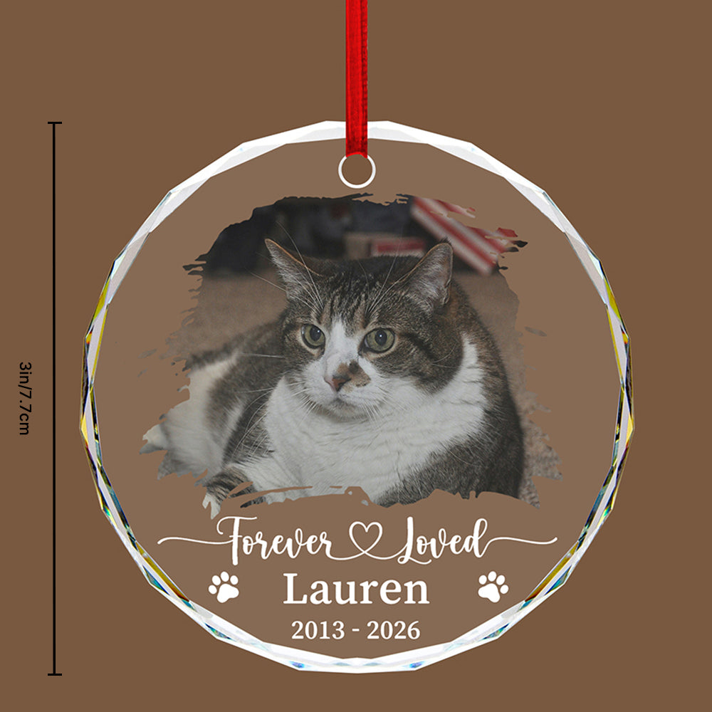 Forever Loved Personalized Pet Memorial Glass Ornament with Photo