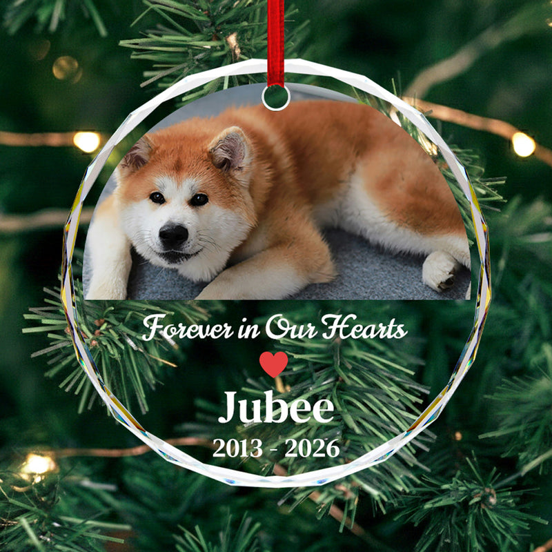 Forever in Our Hearts - Round Glass Pet Memorial Ornament with Photo