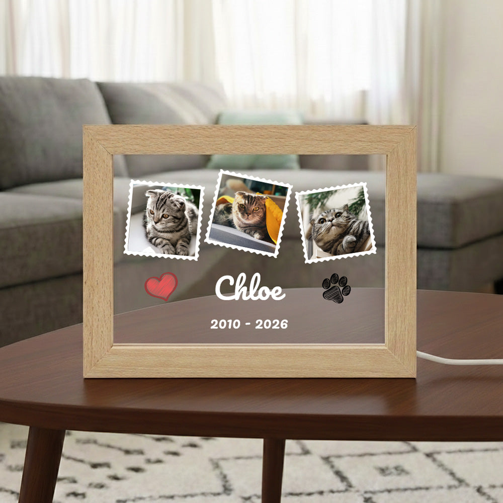 LED Acrylic Pet Memorial Photo Frame