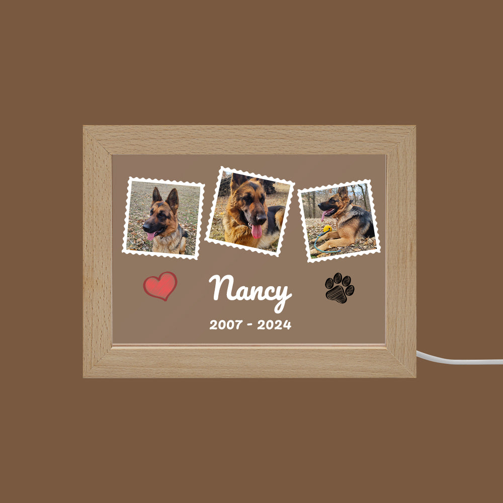 LED Acrylic Pet Memorial Photo Frame
