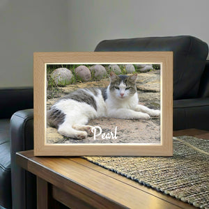 LED Acrylic Plaque with Pet Photo
