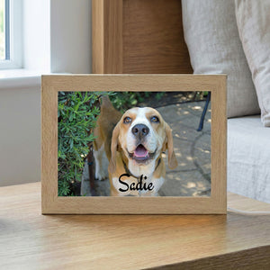 LED Acrylic Plaque with Pet Photo