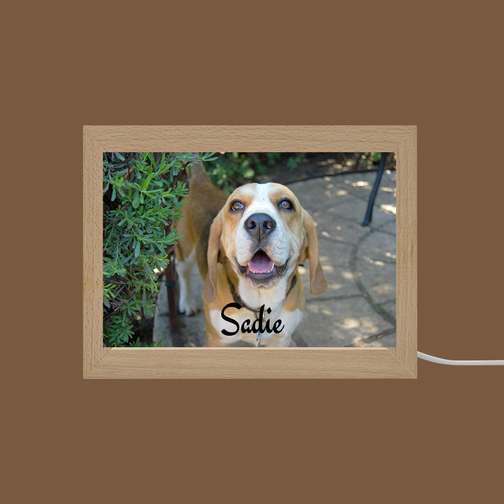 LED Acrylic Plaque with Pet Photo