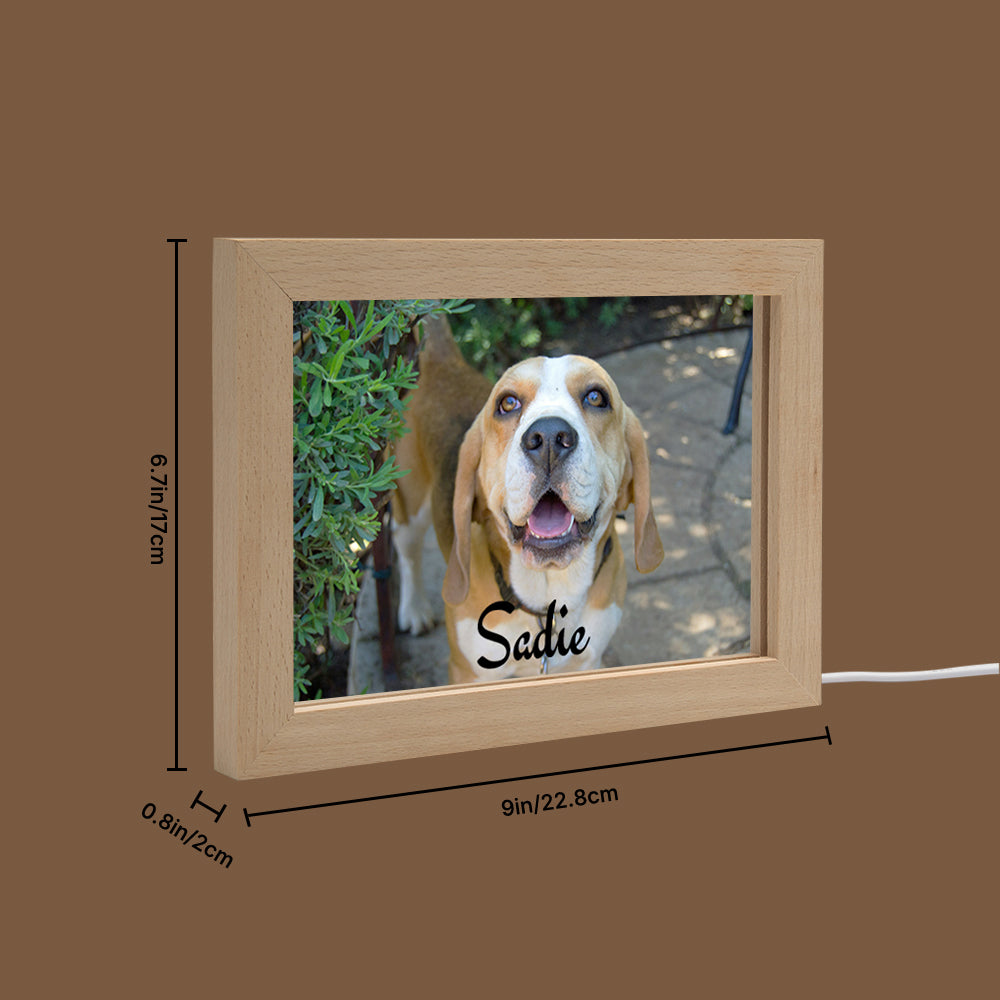 LED Acrylic Plaque with Pet Photo
