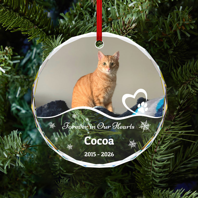 Personalized Pet Memorial Glass Ornament with Photo Gift