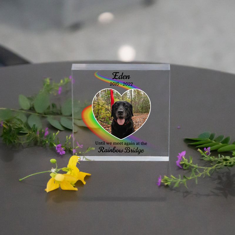 Personalized Pet Acrylic Portrait Block Gift