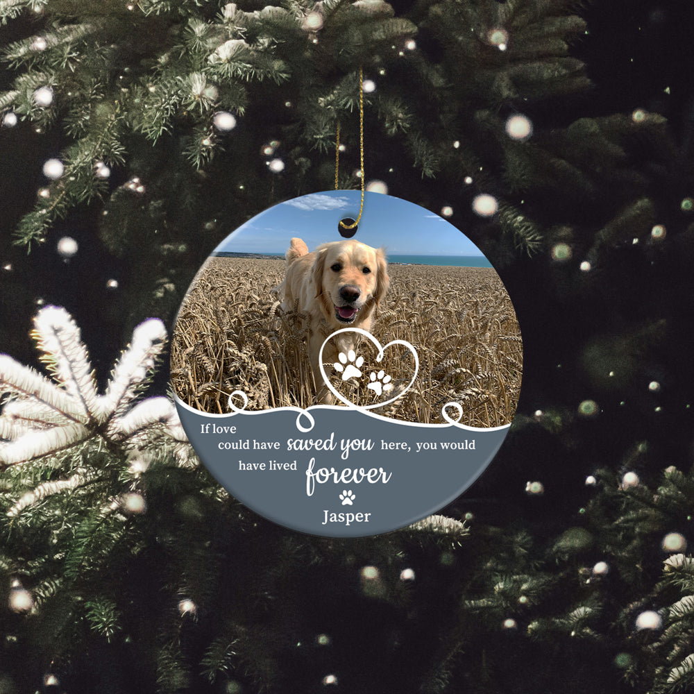 Personalized Pet Photo Ornament