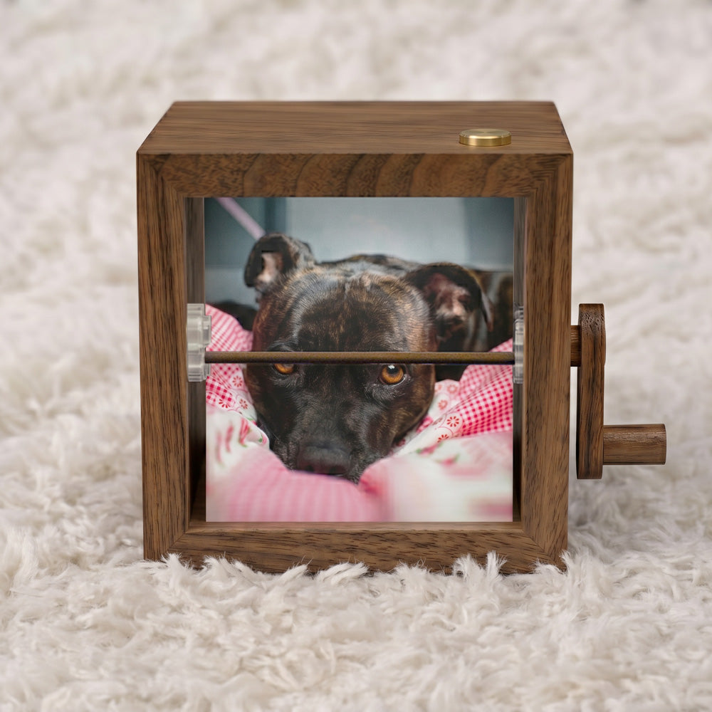 Personalized Hand Crank Wood Flip Photo Box for Pet