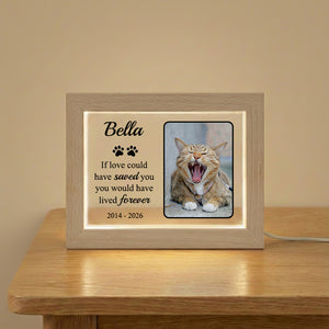Personalized LED Acrylic Pet Memorial Frame