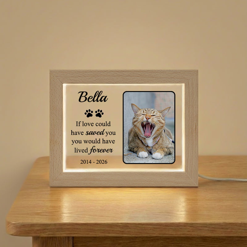 Personalized LED Acrylic Pet Memorial Frame