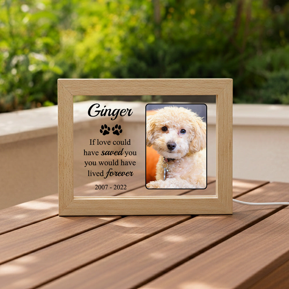 Personalized LED Acrylic Pet Memorial Frame