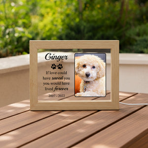 Personalized LED Acrylic Pet Memorial Frame