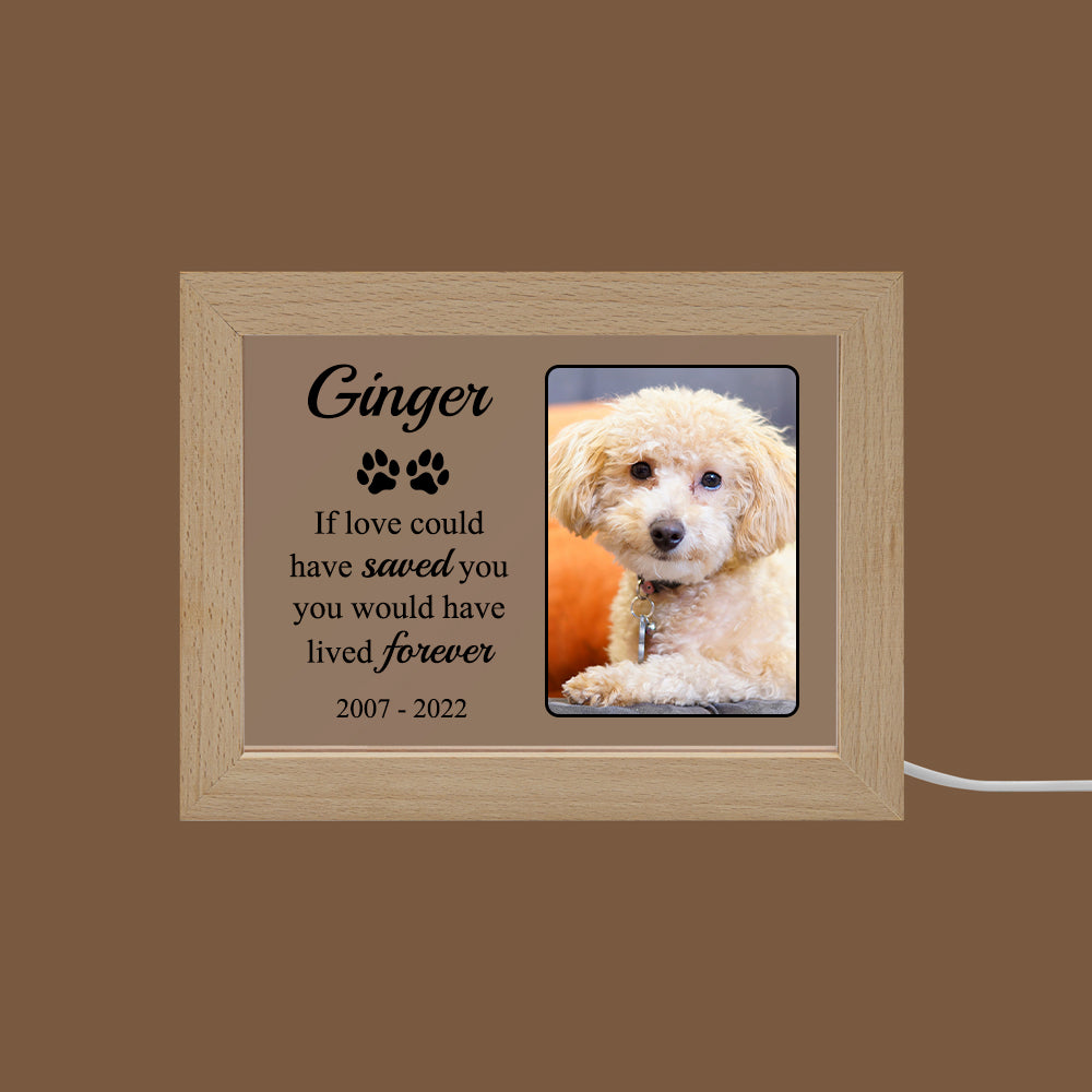 Personalized LED Acrylic Pet Memorial Frame