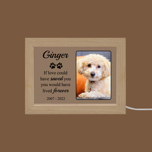 Personalized LED Acrylic Pet Memorial Frame