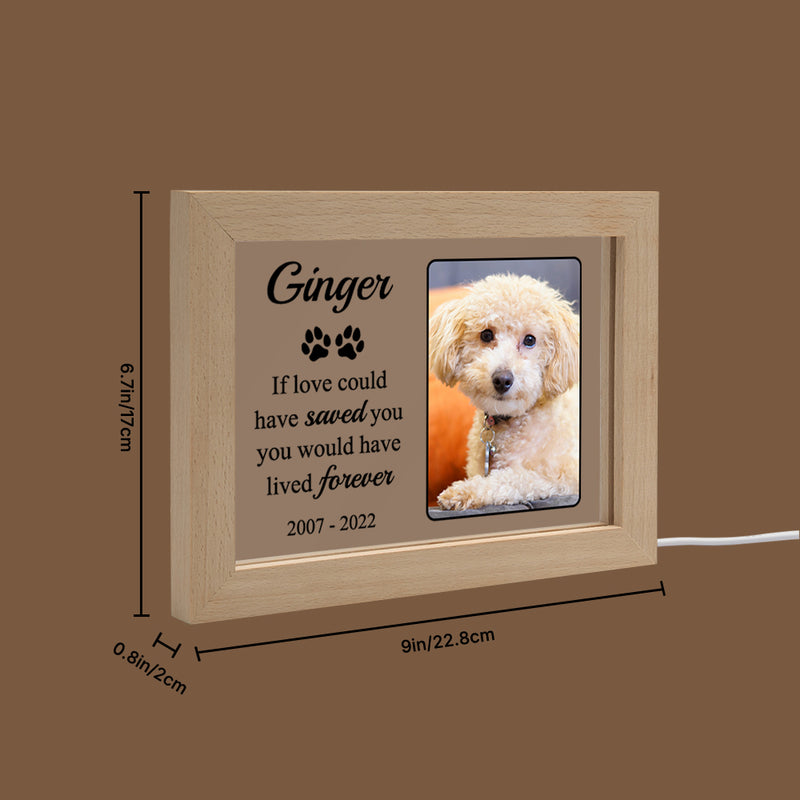 Personalized LED Acrylic Pet Memorial Frame