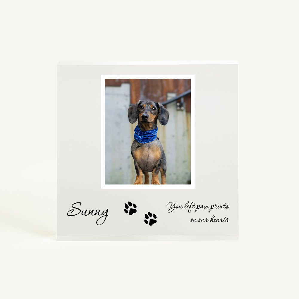 Personalized Pet Acrylic Photo Block