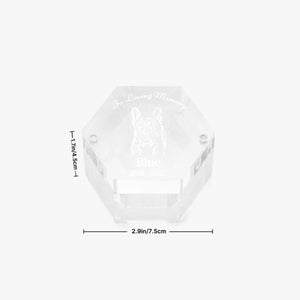 Personalized Pet Hair Memorial Box