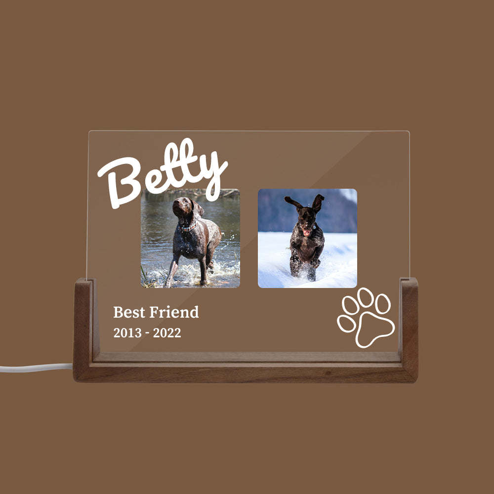 Personalized Pet LED Acrylic Memorial Plaque