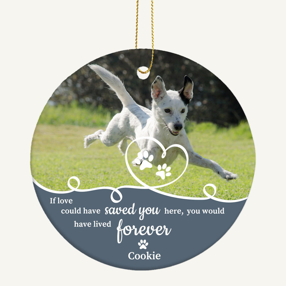 Personalized Pet Photo Ornament