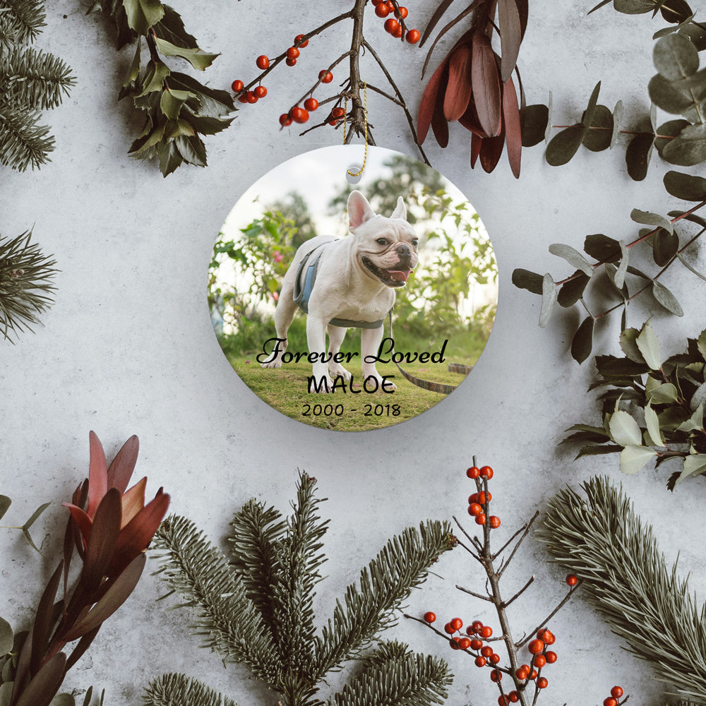 Personalized Photo Pet Ornament