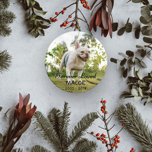 Personalized Photo Pet Ornament