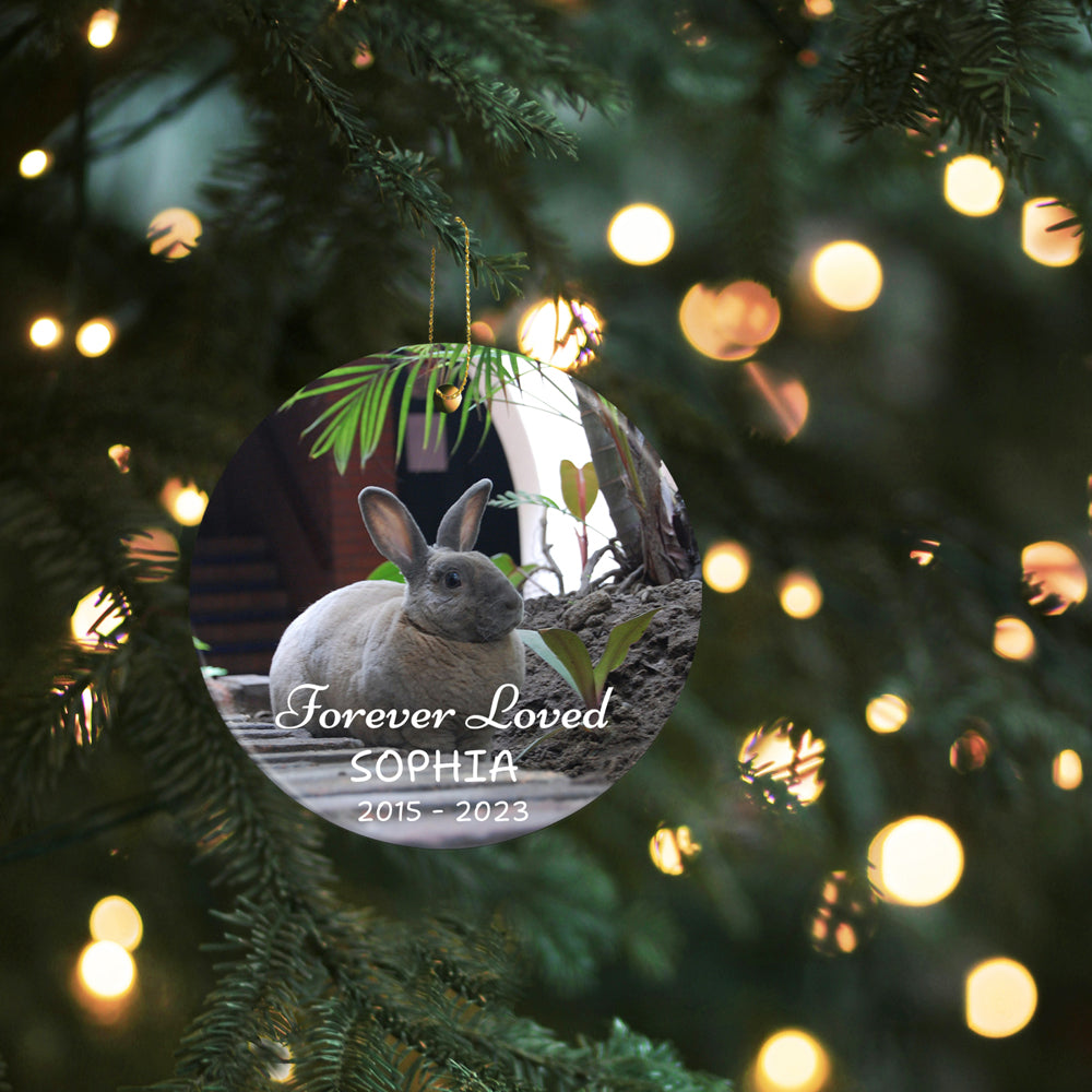 Personalized Photo Pet Ornament