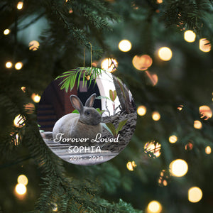 Personalized Photo Pet Ornament